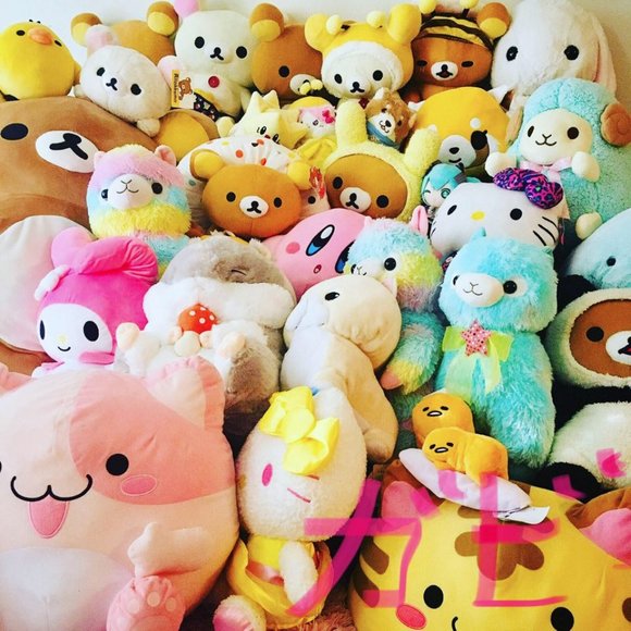 Meet your Posher, Gaby - Picture 2 of 6